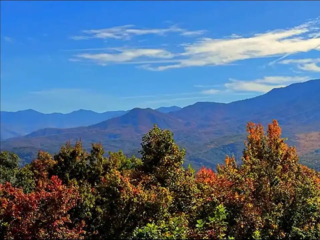 view of mountain feature