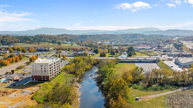 1410 Hurley Dr Apt 601, Sevierville, TN 37862 - photo 24
