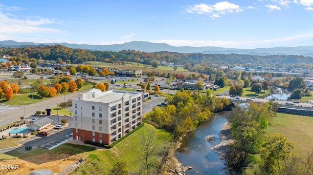 1410 Hurley Dr Apt 601, Sevierville, TN 37862 - photo 19