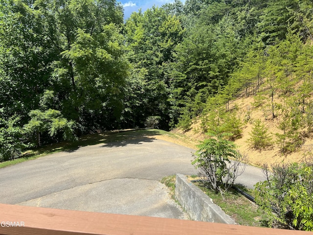 3446 Quail Way, Sevierville, TN 37862 - photo 68