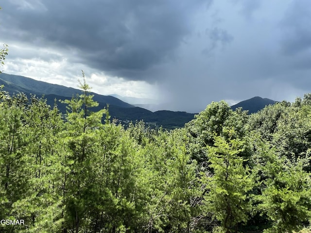 3446 Quail Way, Sevierville, TN 37862 - photo 62