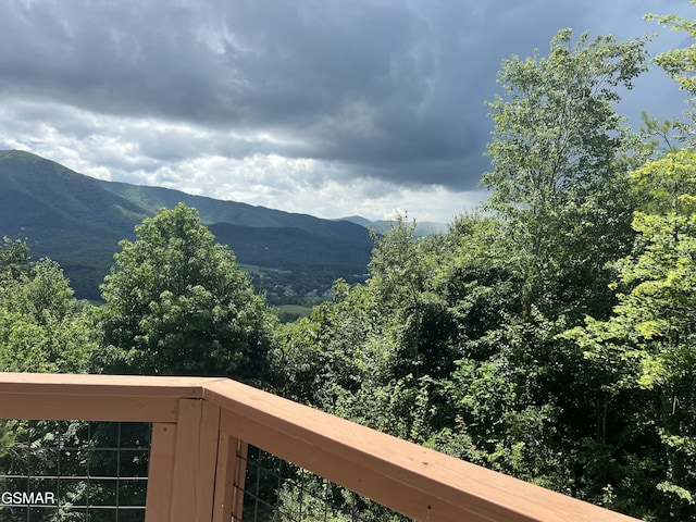 3446 Quail Way, Sevierville, TN 37862 - photo 66