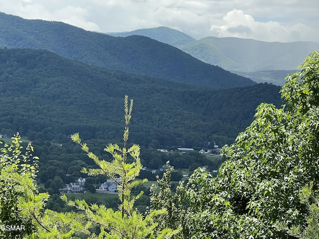 3446 Quail Way, Sevierville, TN 37862 - photo 4