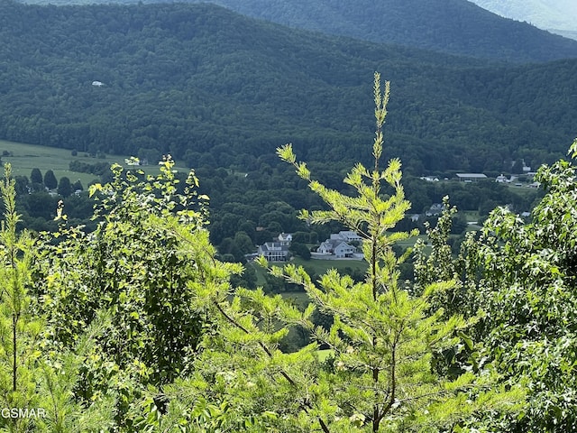 3446 Quail Way, Sevierville, TN 37862 - photo 3