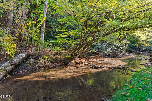 view of nature