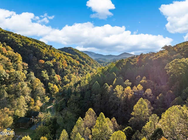 property view of mountains