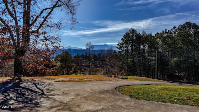 2134 Arch Rock Dr, Sevierville, TN 37876 - photo 65