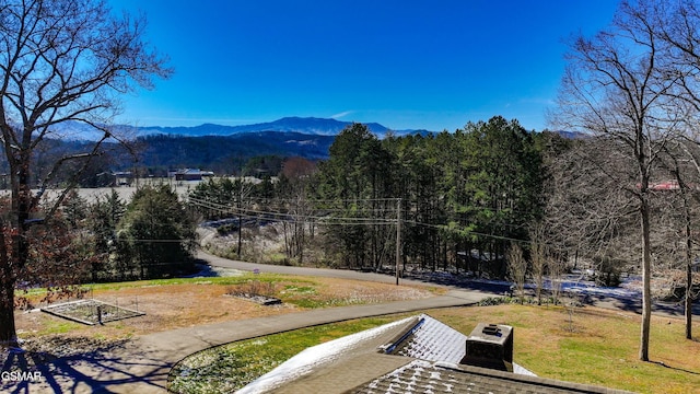 2134 Arch Rock Dr, Sevierville, TN 37876 - photo 8