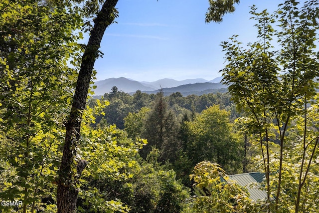 view of mountain feature featuring a forest view