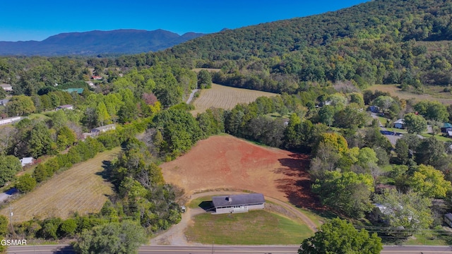3177 Old Newport Hwy, Sevierville, TN 37876 - photo 53