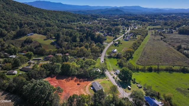 3177 Old Newport Hwy, Sevierville, TN 37876 - photo 52