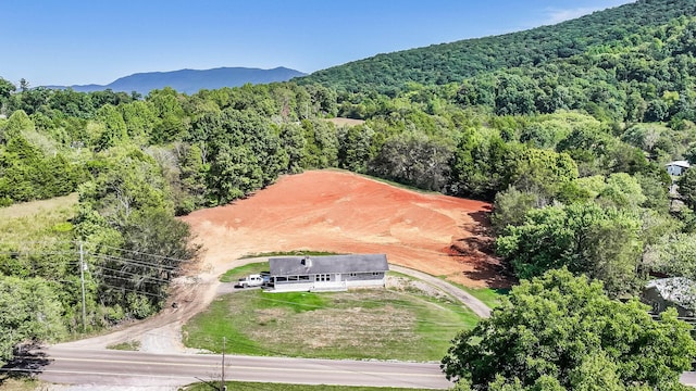 3177 Old Newport Hwy, Sevierville, TN 37876 - photo 54