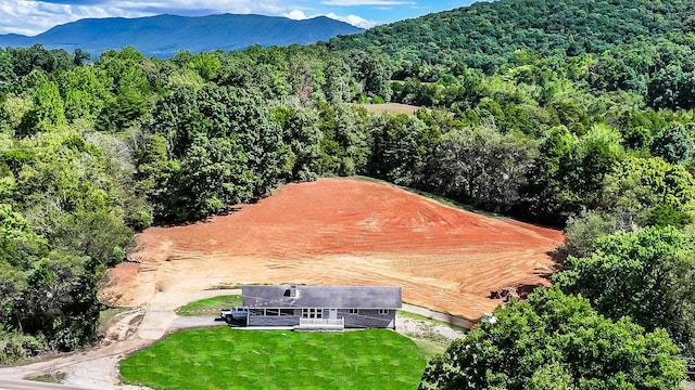 3177 Old Newport Hwy, Sevierville, TN 37876 - photo 10