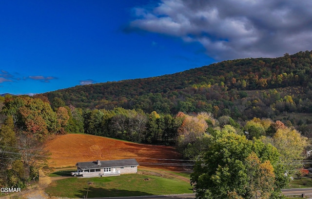 3177 Old Newport Hwy, Sevierville, TN 37876 - photo 4