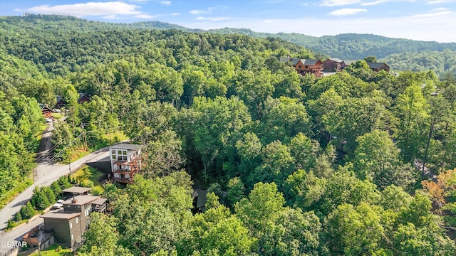 1046 Cheshire Ct, Gatlinburg, TN 37738 - photo 29