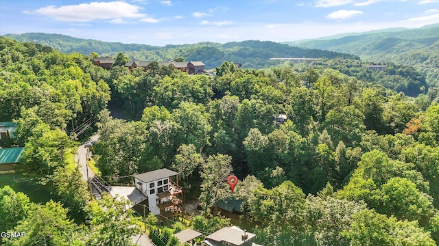 1046 Cheshire Ct, Gatlinburg, TN 37738 - photo 6