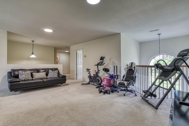 workout area with light carpet