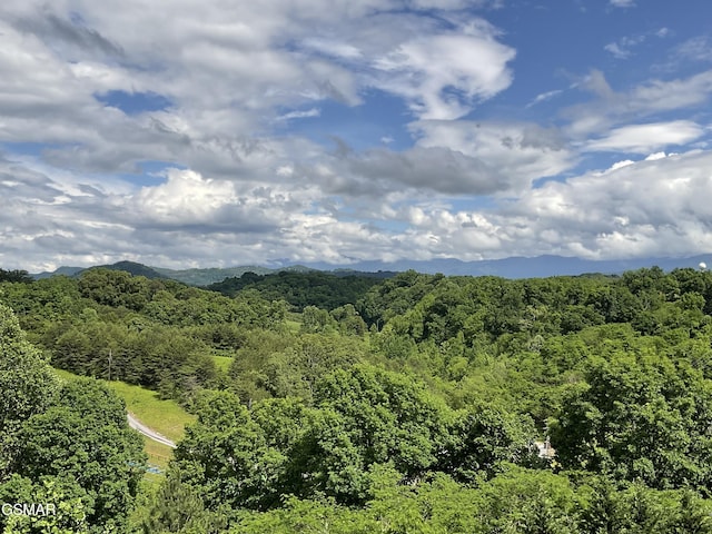 mountain view with a heavily wooded area