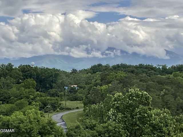 view of mountain background featuring a heavily wooded area