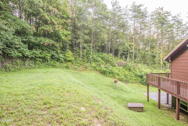 514 Indian Gap Rd, Sevierville, TN 37862 - photo 42