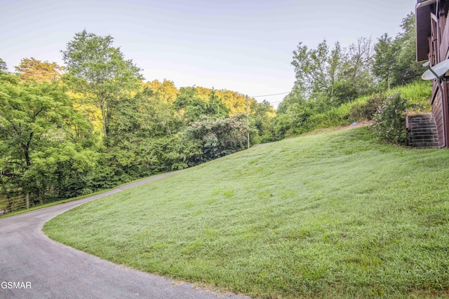 514 Indian Gap Rd, Sevierville, TN 37862 - photo 39