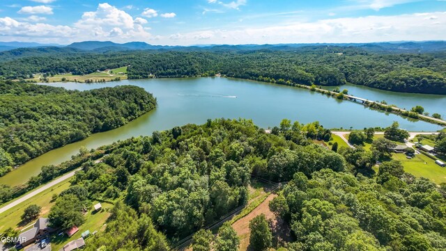 151 Citico Rd, Vonore, TN 37885 - photo 11