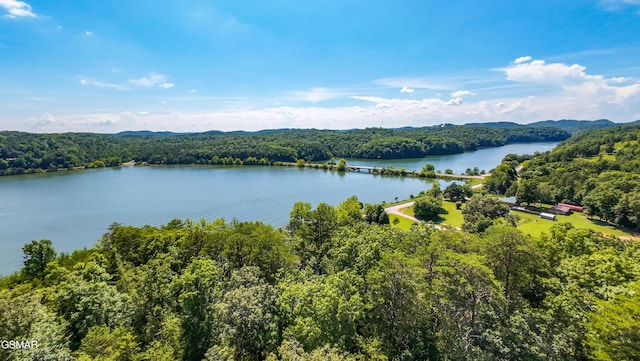 151 Citico Rd, Vonore, TN 37885 - photo 16