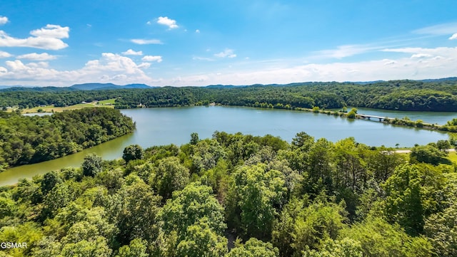 151 Citico Rd, Vonore, TN 37885 - photo 15