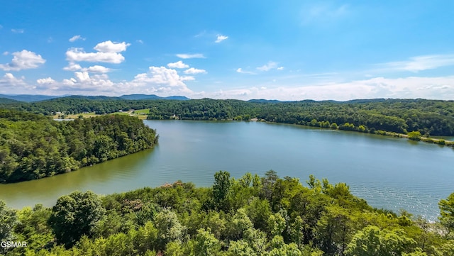 151 Citico Rd, Vonore, TN 37885 - photo 18