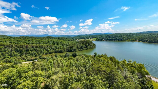 151 Citico Rd, Vonore, TN 37885 - photo 17