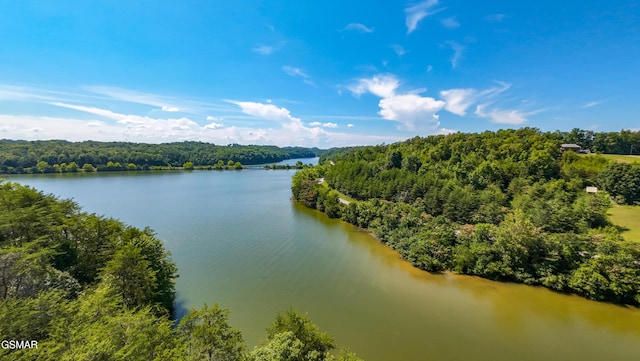 151 Citico Rd, Vonore, TN 37885 - photo 23