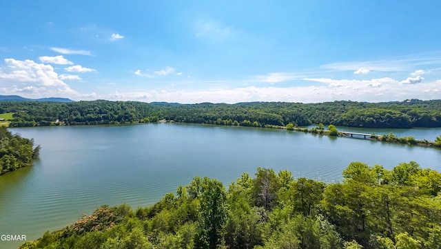 151 Citico Rd, Vonore, TN 37885 - photo 19