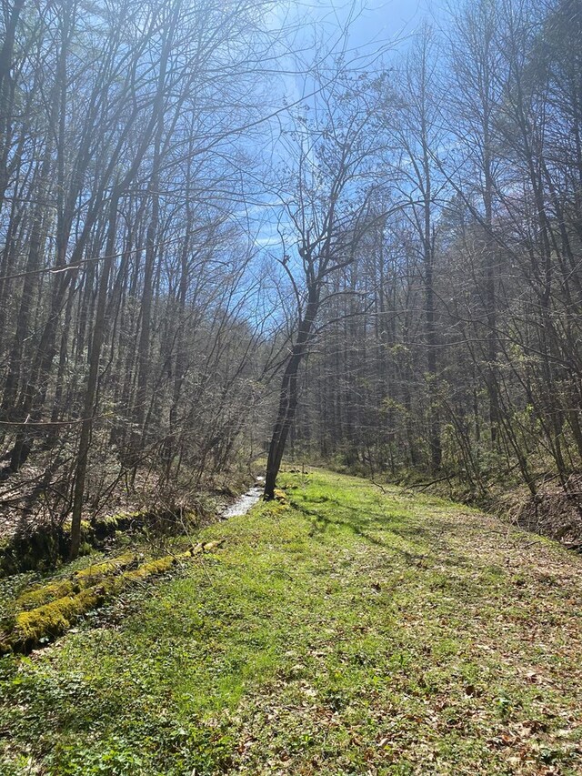 0 Valley Springs Way, Sevierville, TN 37862
