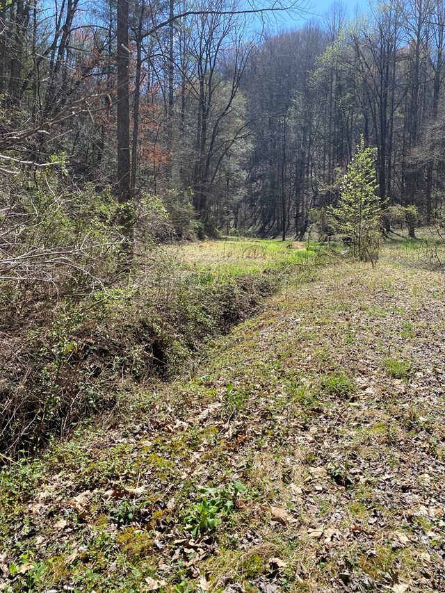 0 Valley Springs Way, Sevierville, TN 37862