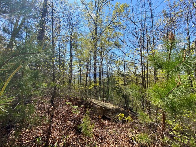 0 Valley Springs Way, Sevierville, TN 37862