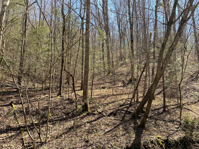 0 Valley Springs Way, Sevierville, TN 37862