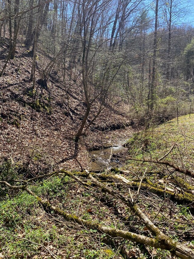0 Valley Springs Way, Sevierville, TN 37862