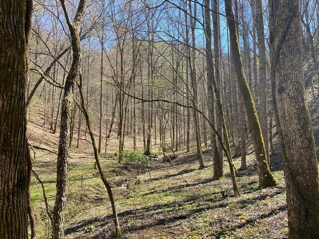 0 Valley Springs Way, Sevierville, TN 37862