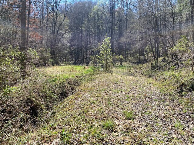 0 Valley Springs Way, Sevierville, TN 37862
