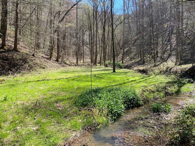 0 Valley Springs Way, Sevierville, TN 37862