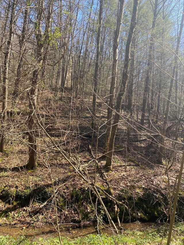 0 Valley Springs Way, Sevierville, TN 37862