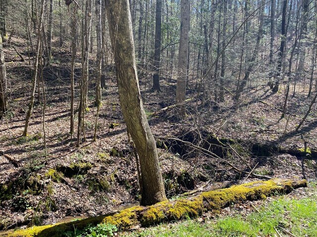 0 Valley Springs Way, Sevierville, TN 37862