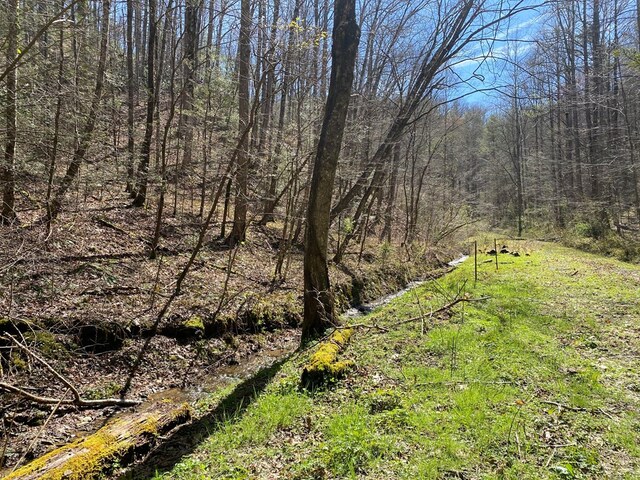 0 Valley Springs Way, Sevierville, TN 37862