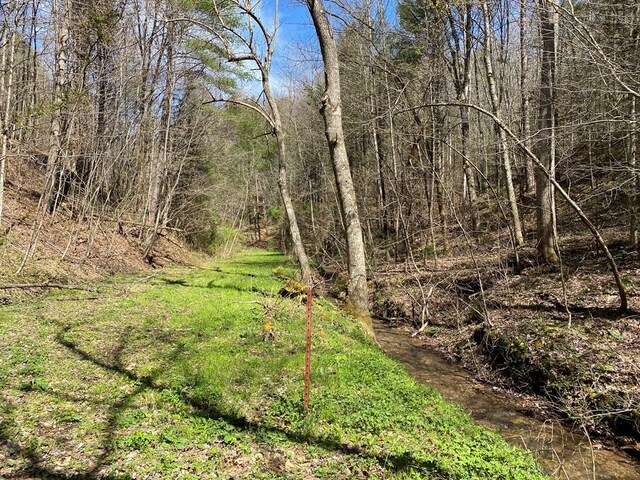 0 Valley Springs Way, Sevierville, TN 37862