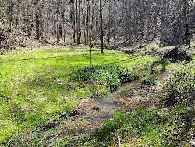 0 Valley Springs Way, Sevierville, TN 37862