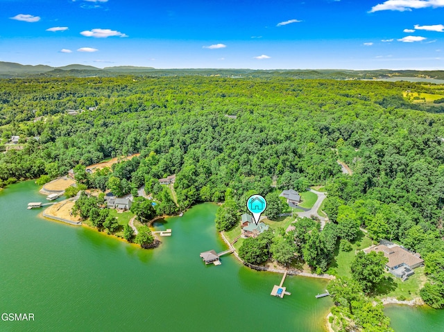 2114 Bridge View Dr, Dandridge, TN 37725 - photo 39