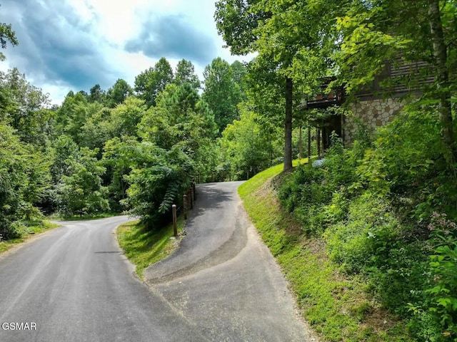 2336 Breezy Rd, Sevierville, TN 37876 - view of asphalt street featuring a view of trees