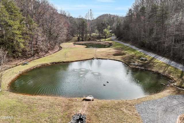 view of water feature featuring a view of trees