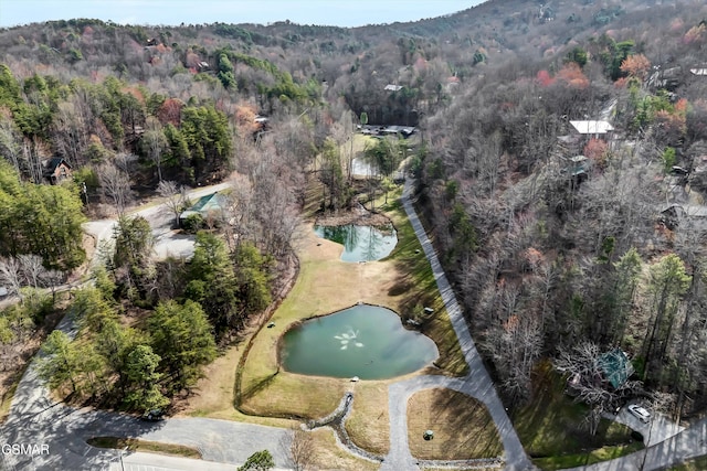 bird's eye view featuring a water and mountain view and a wooded view