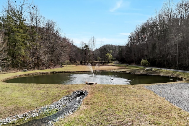 water view with a view of trees